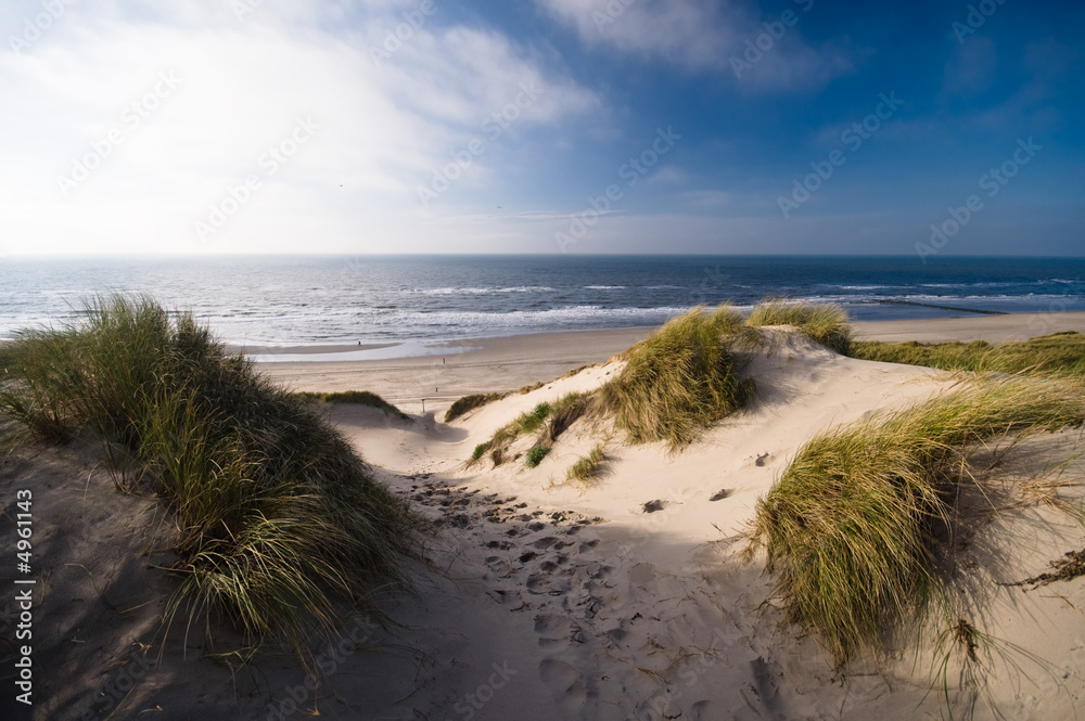 Obraz na płótnie dunes and ocean