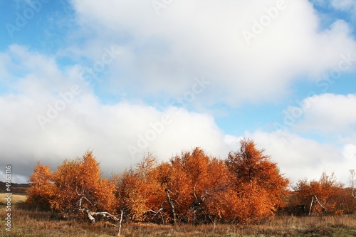 Autumn landscapes