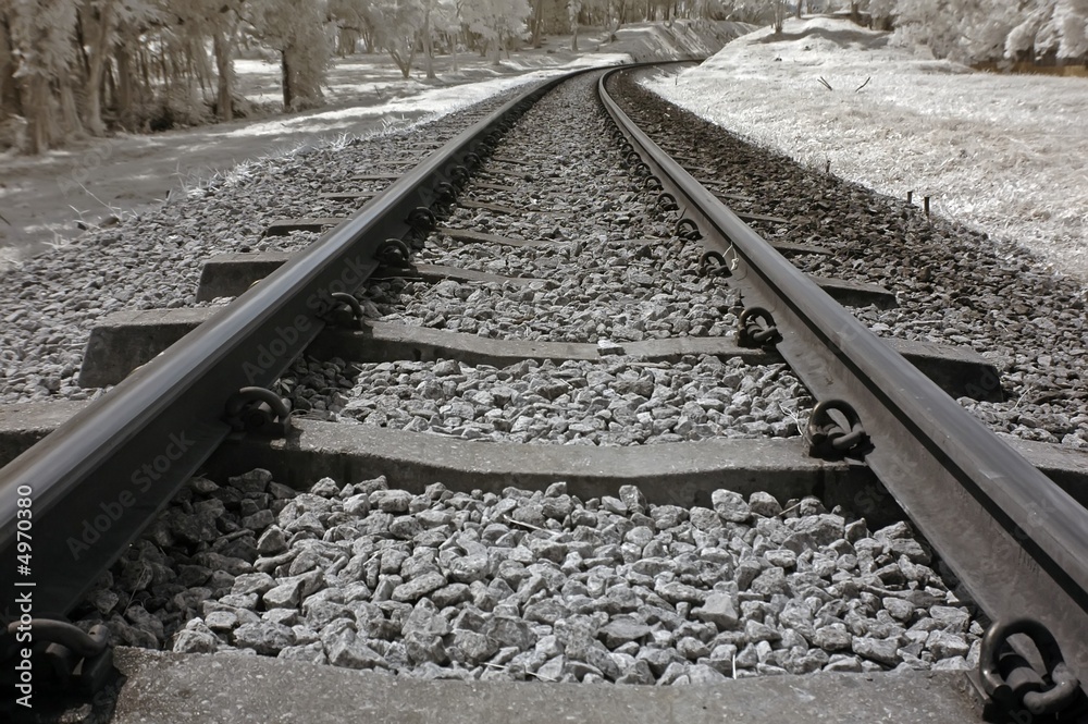 Naklejka premium Infrared photo – tree and railway track in the parks 