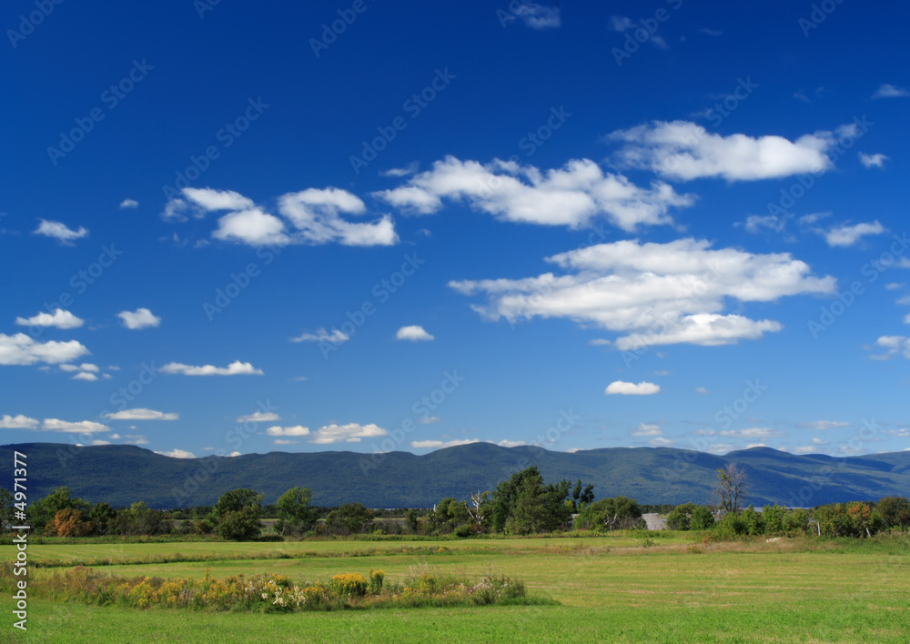 summer landscape with cloudy sky
