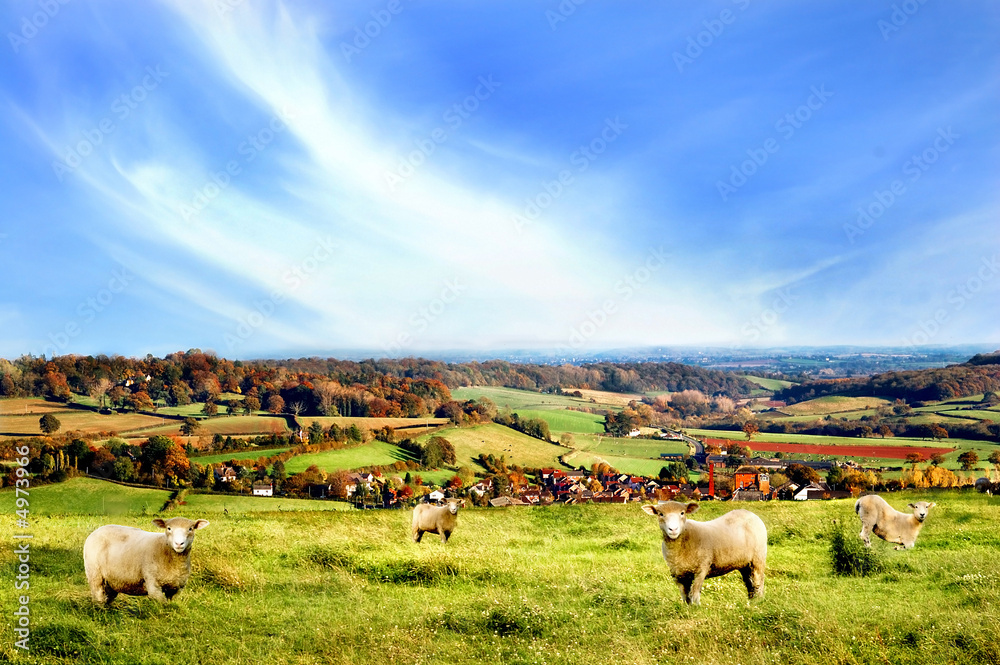 Obraz premium Rural Scenery in Somerset, England.