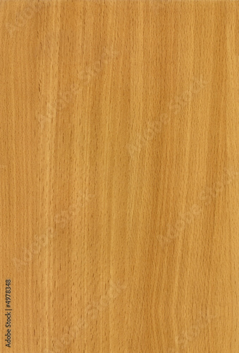Close-up wooden HQ (Beech Bavaria) texture to background