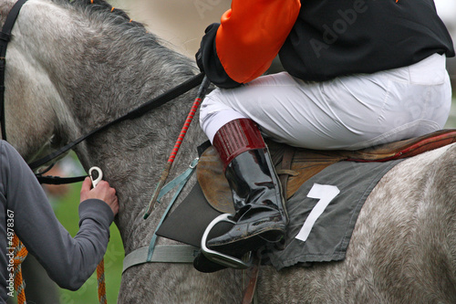 horse and jockey at race-course, getting ready for the start