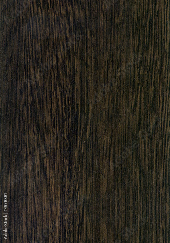 Close-up wooden HQ Live Оak texture