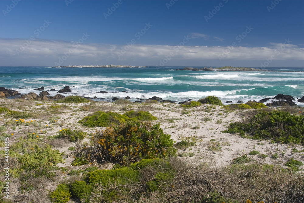 Western Cape coastline, South Africa