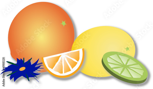 Citrus-fruit photo