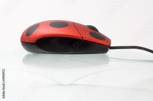 Souris coccinelle