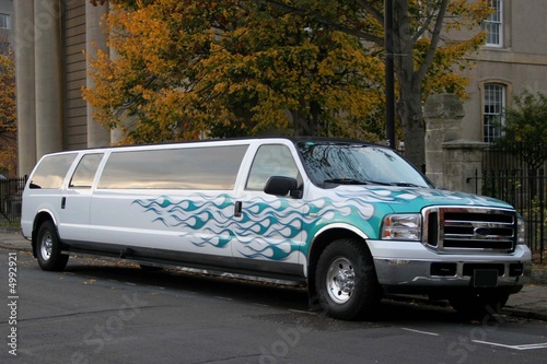 Obraz na plátně stretched limousine