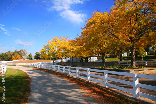 Kentucky Horse Farm