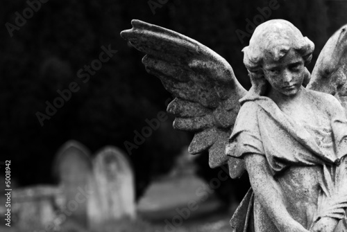 Angel 