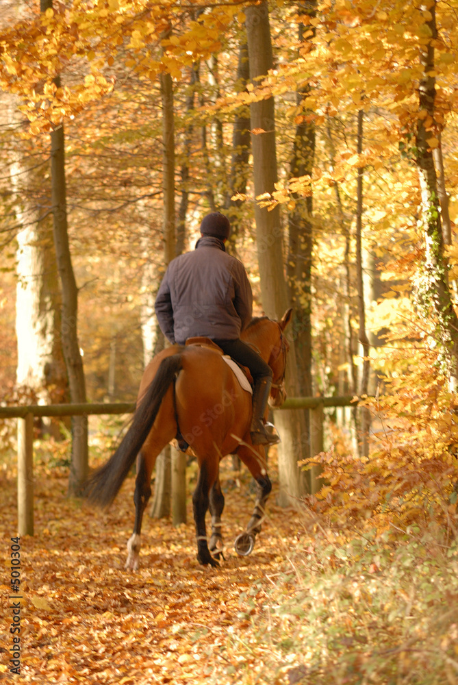 promenade à cheval promenade à cheval