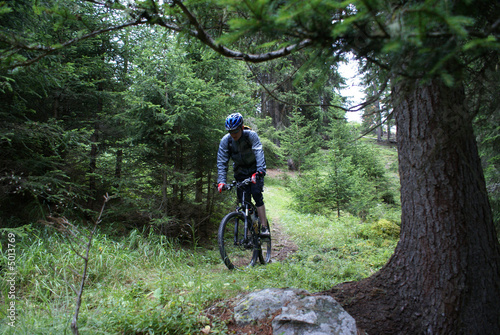 MTB Downhill No. 2