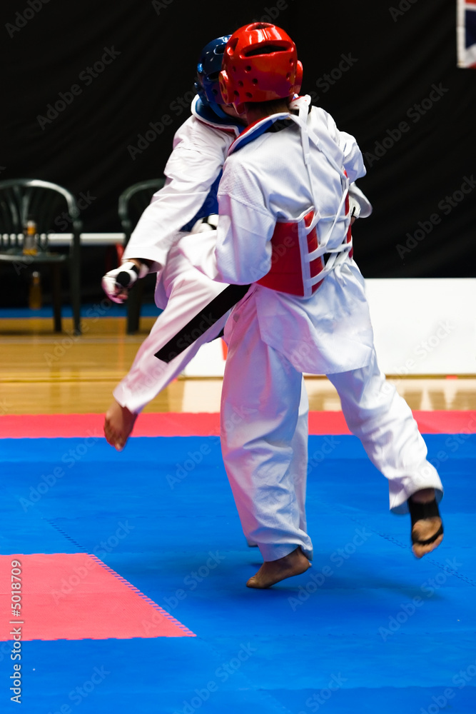 Taekwondo