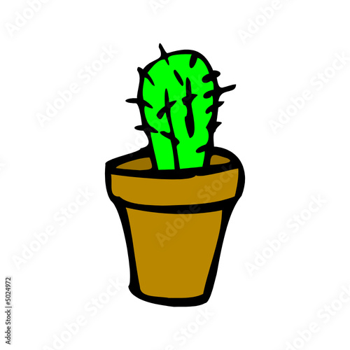 mini-kaktus