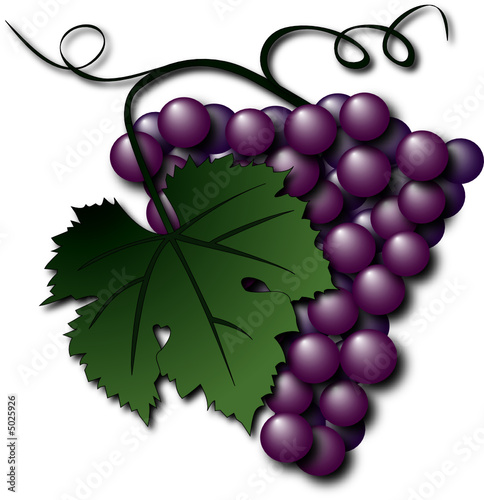 Grappe de raisin