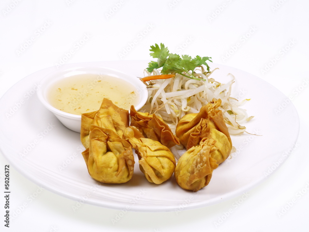 chinesische fritierte wan tans mit sojasprossen chinesische fritierte wan tans mit sojasprossen