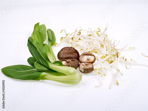 Cuadro en lienzo chinesische shiitake pilze, sprossen und pak choi gemüse