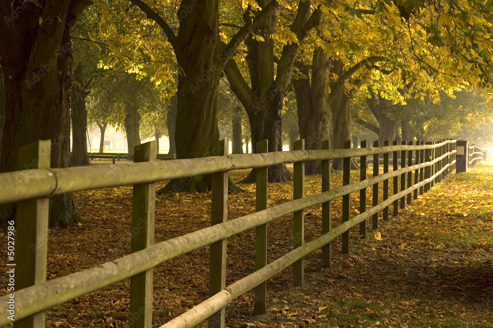 a walk in the park