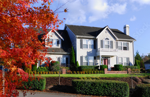 American House Series 