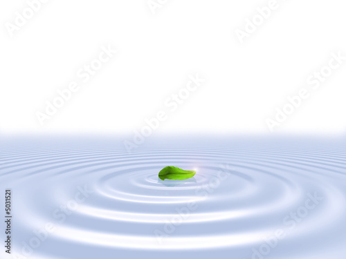 Green Leaf on Blue Water Ripples