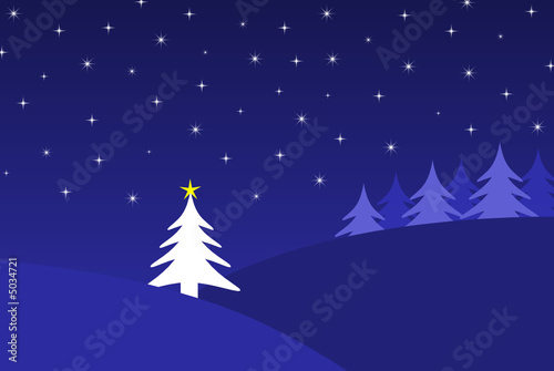 Sapin de noël et nuit étoilée