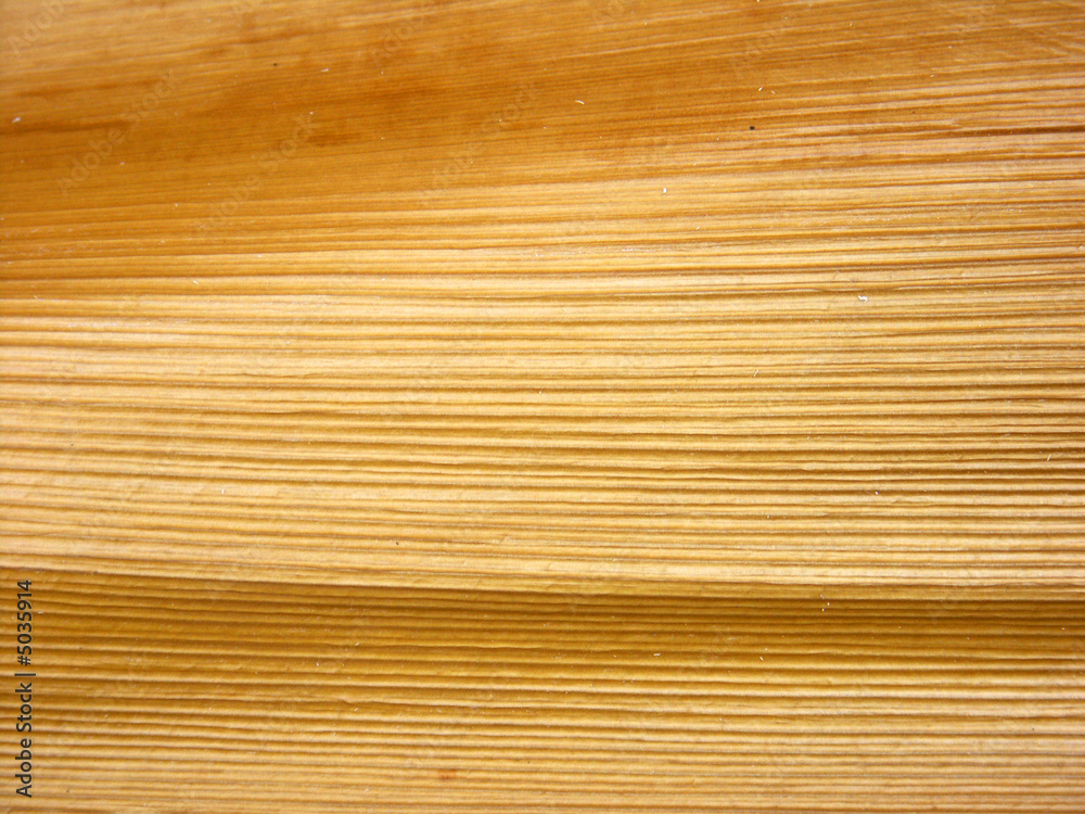 spathe de palmier spathe de palmier