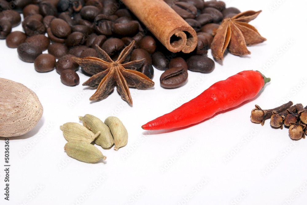 custom made wallpaper toronto digitalAuswahl an exotischen Gewürzen