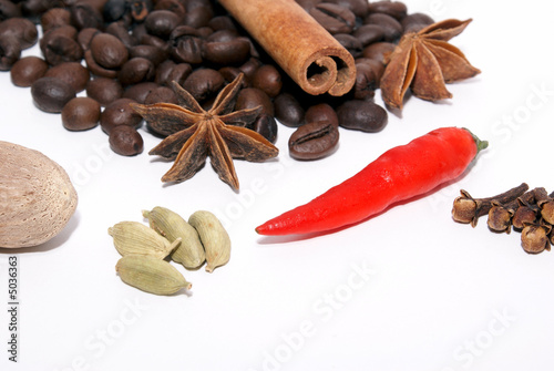 Wallpaper Mural Auswahl an exotischen Gewürzen Torontodigital.ca