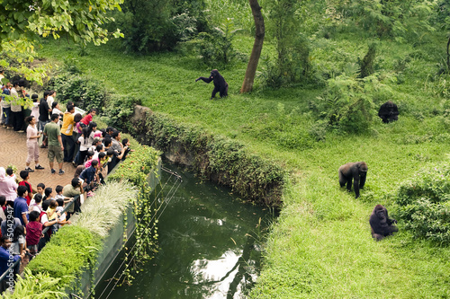 zoo with attendance photo