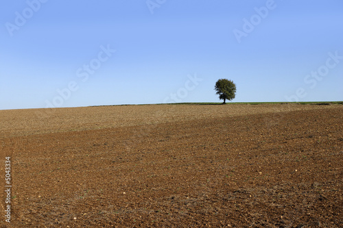 plowed field