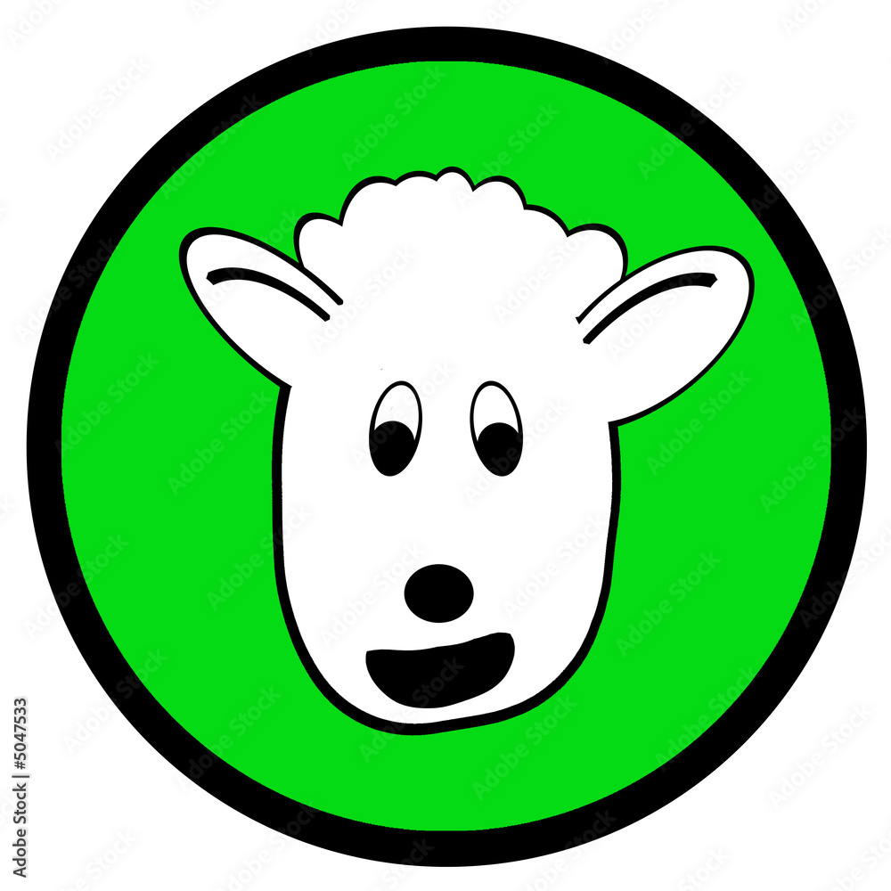 mouton mouton