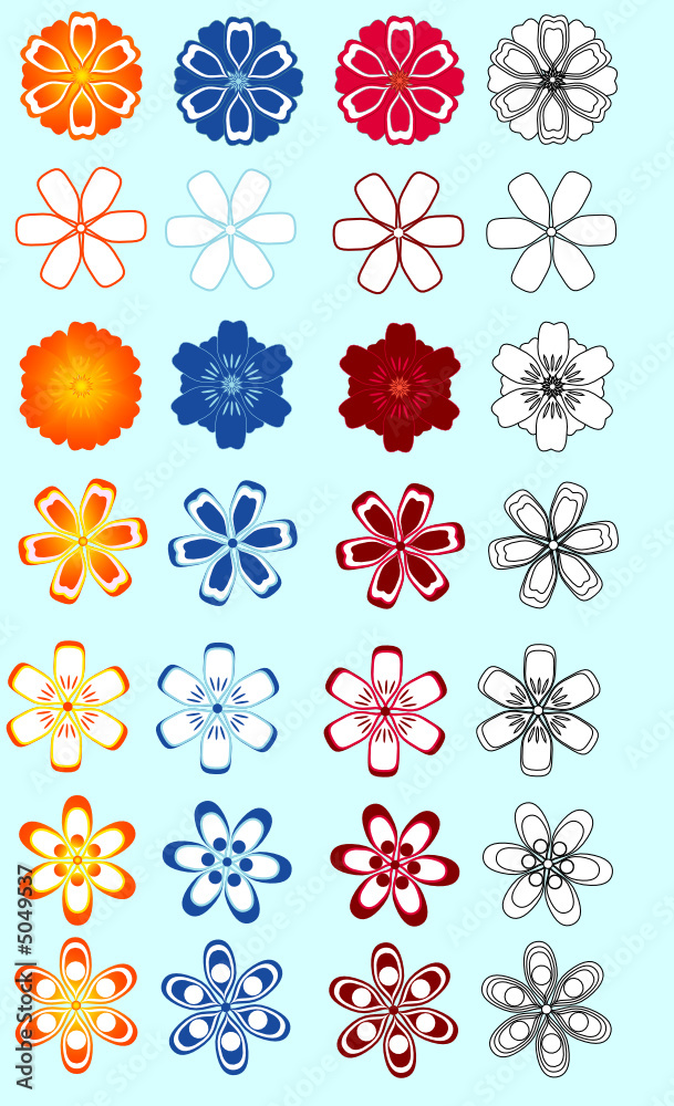 flowers flowers