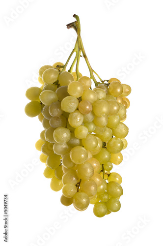 Three bunches of grape