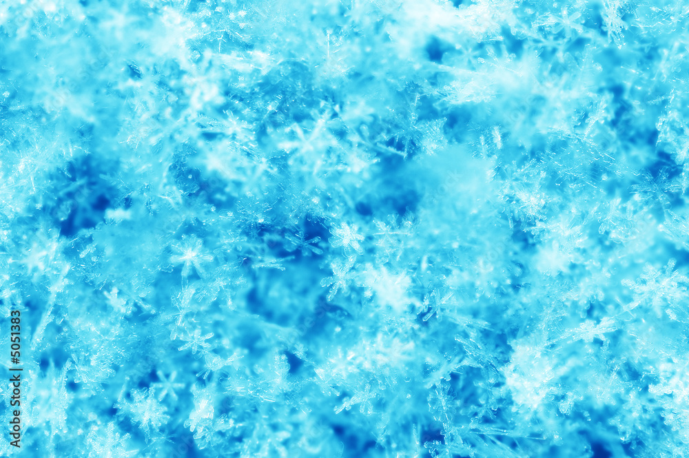 Obraz premium Snow