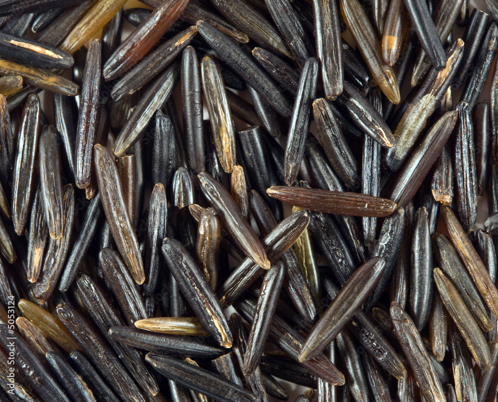 Raw wild rice background Raw wild rice background