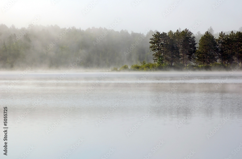 Fog Fog