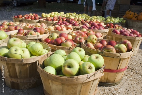 bushels of apples