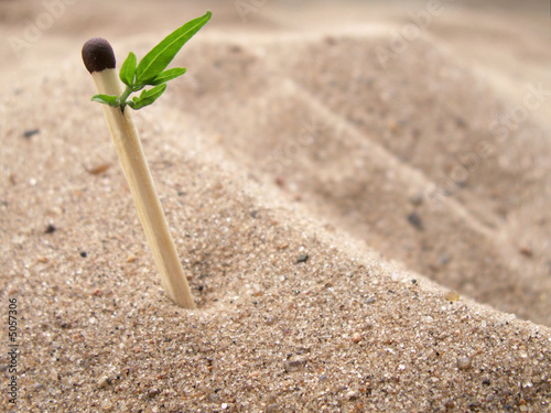 Match with green leaf on background with sand photo