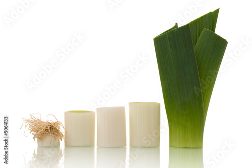 fresh leek