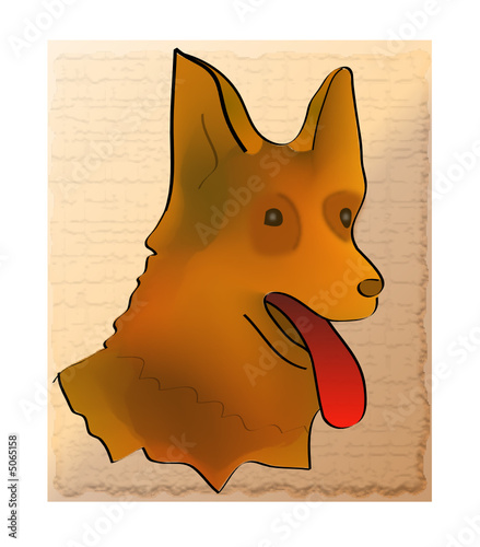 a0053 - Chien Loup