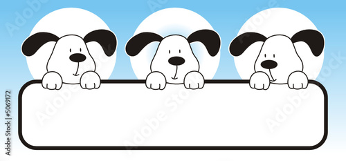 perro05