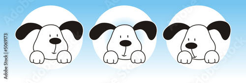 perro04
