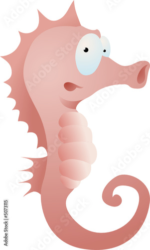 seahorse illustration