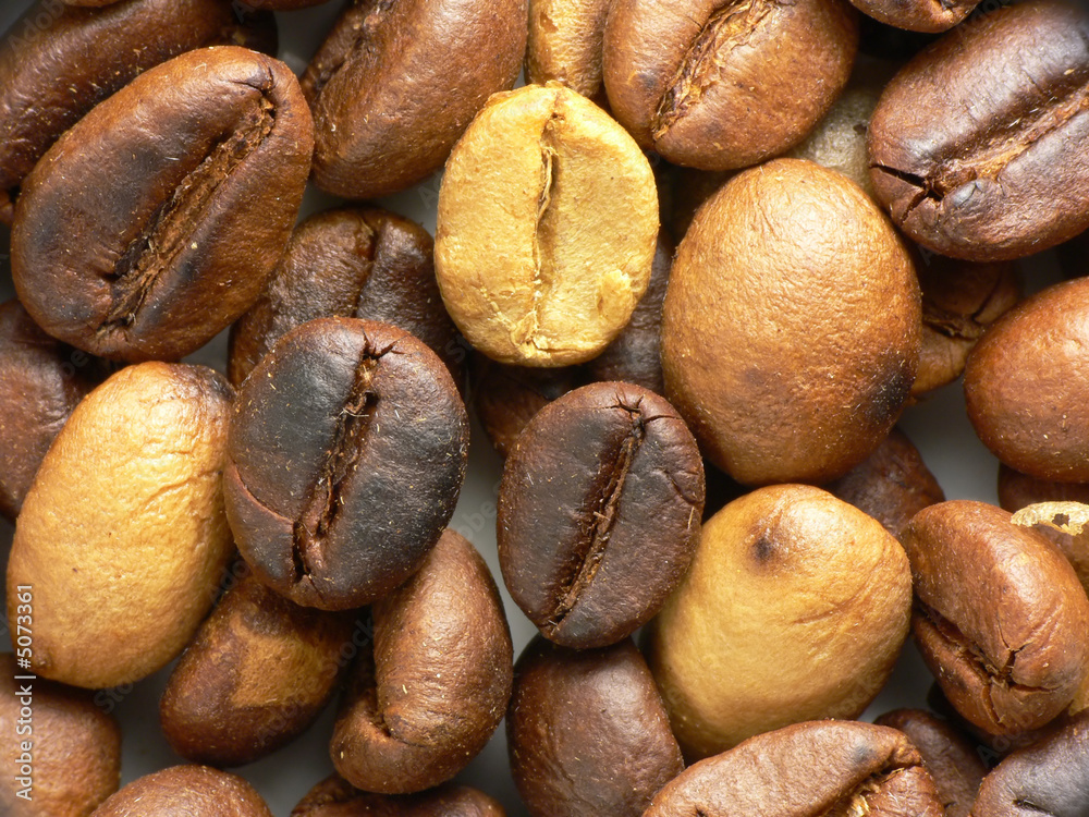 Different roasted coffee beans. Close-up