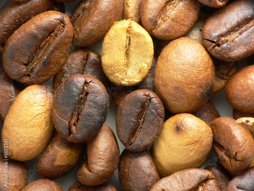 Different roasted coffee beans. Close-up