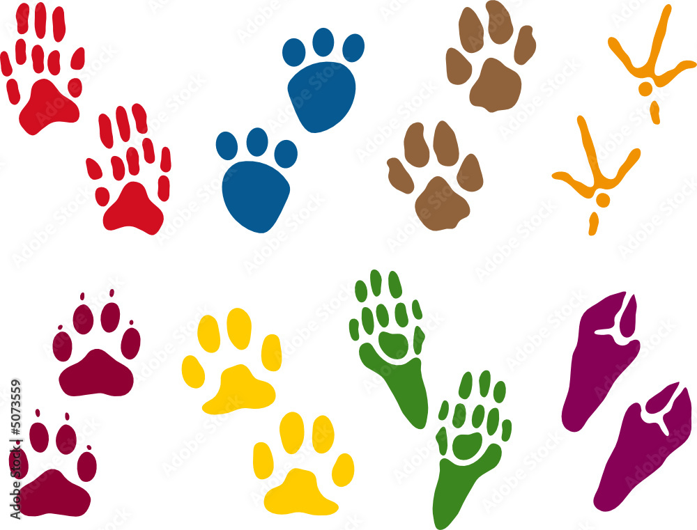Eight sets of Animal Tracks Eight sets of Animal Tracks