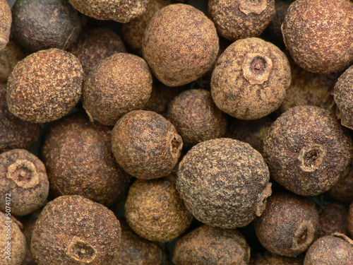 Allspice macro