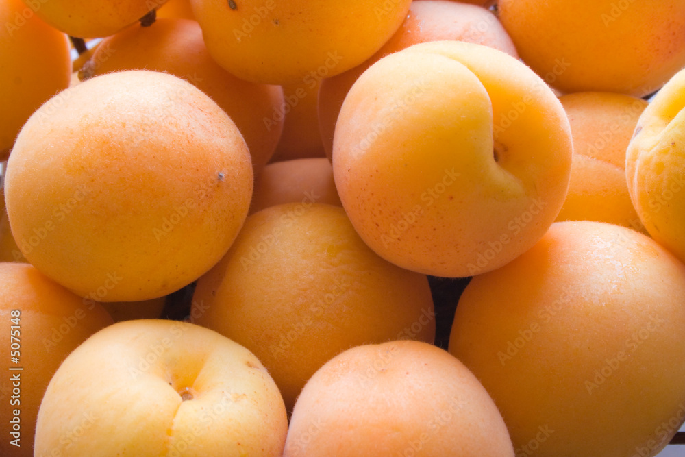 Ripe Apricots Ripe Apricots