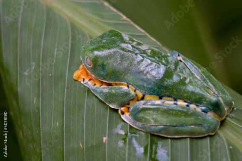 Portfolio Costa Rica photo