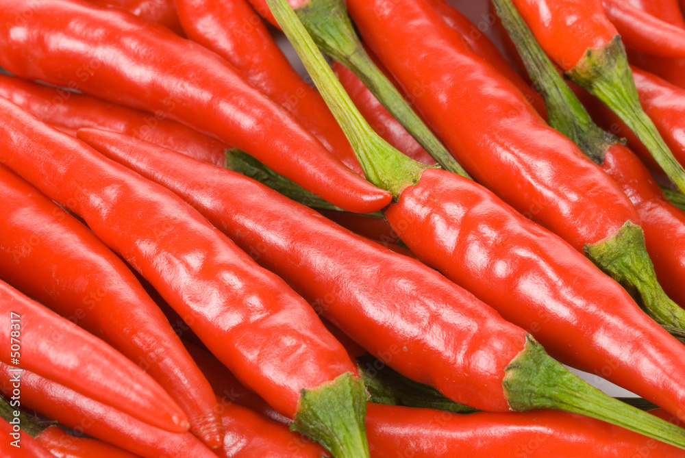 fresh red chili peppers